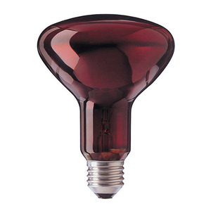 HEAT PLUS R95 IR Red 100W 적외선 램프 E27 의적 (의료용)